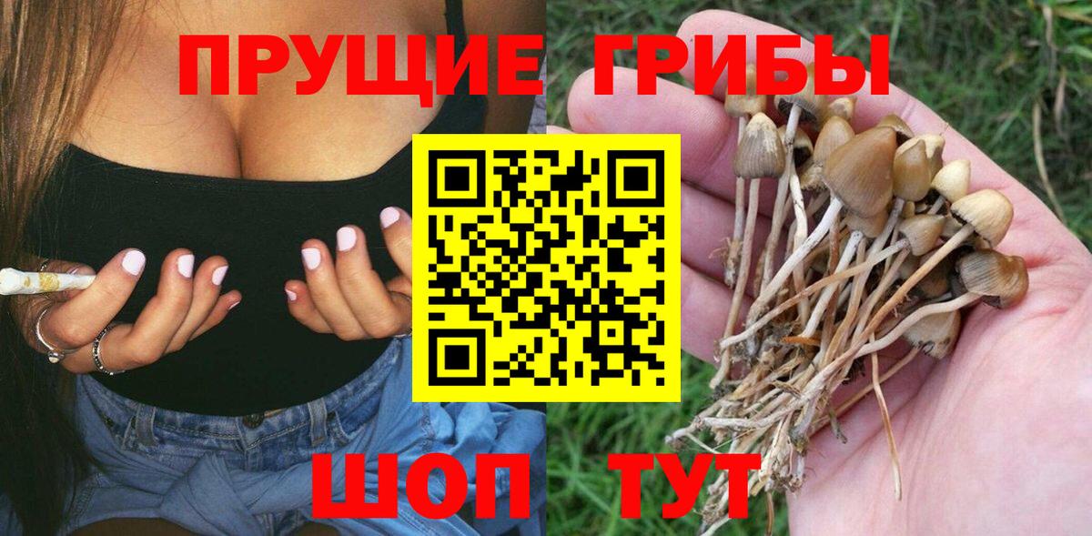 Псилоцибиновые грибы Psilocybine cubensis  Вход с VPN  Карабулак 